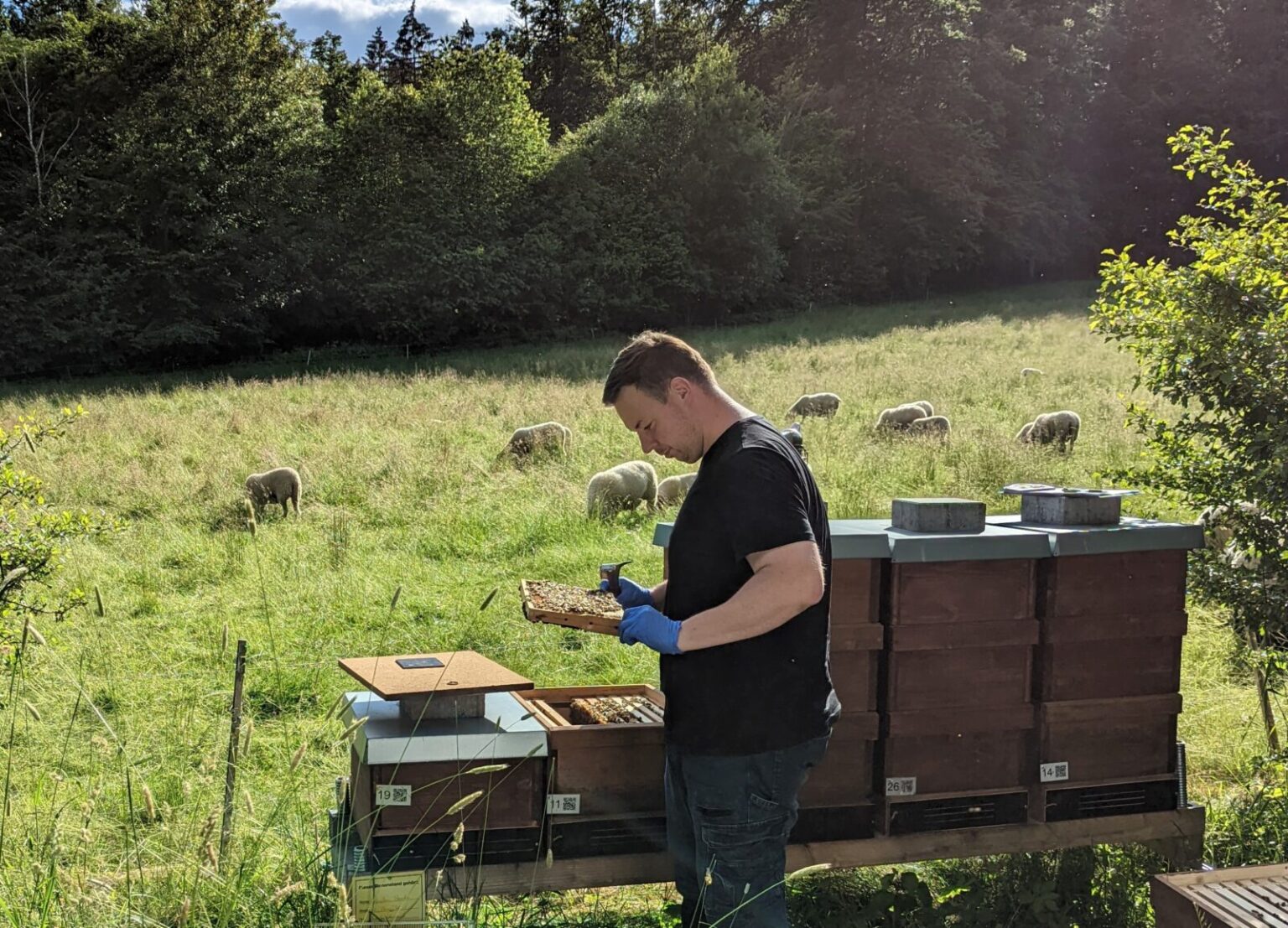 Imkerführungen 2025 Bäderland Bayerische Rhön